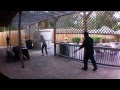 The Mini Bat