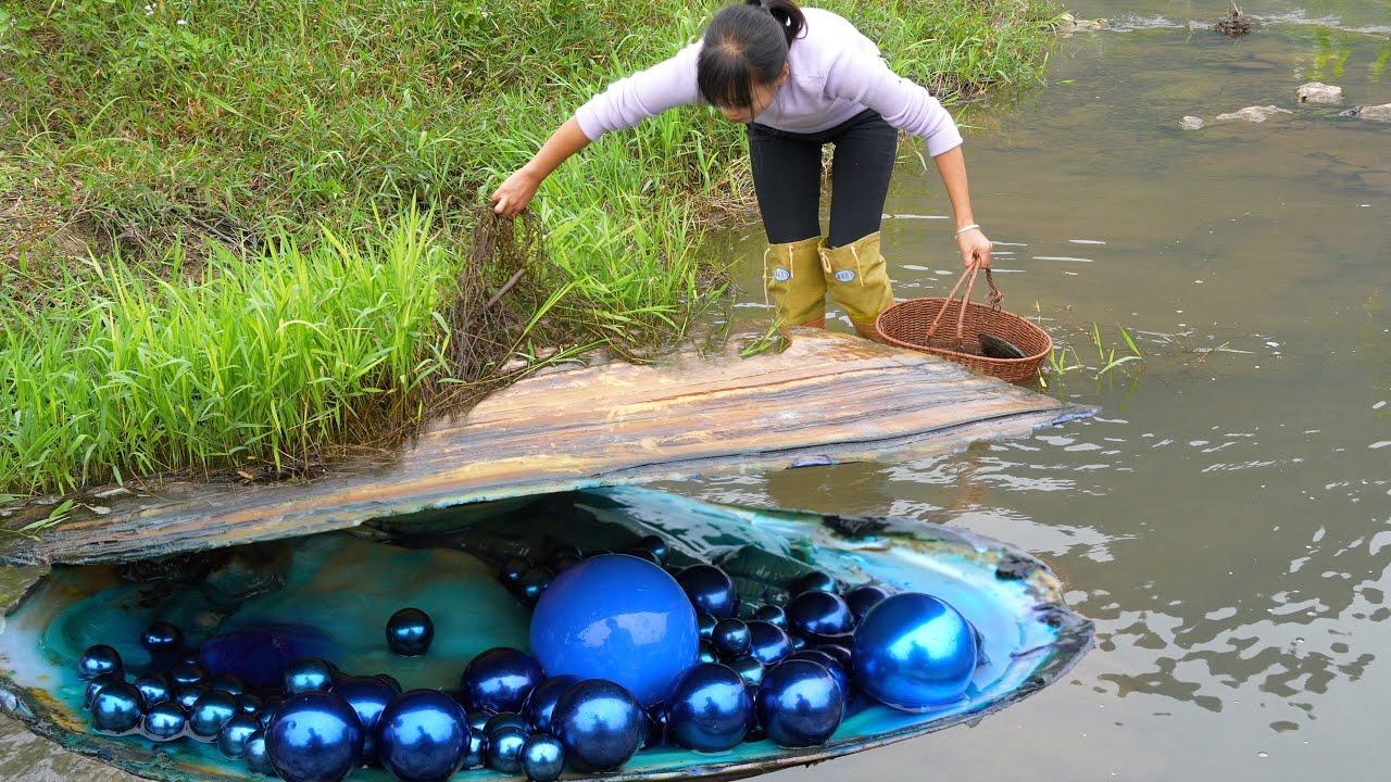 🔥An incredible discovery! The girl discovered precious pearls while fishing for clams in the wild