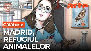 Madrid: Spitalul pentru animale sălbatice | ARTE.tv Documentare