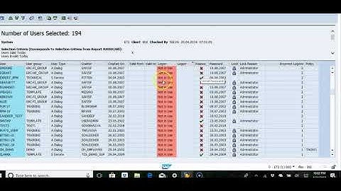 SAP Cyber Security User Logon