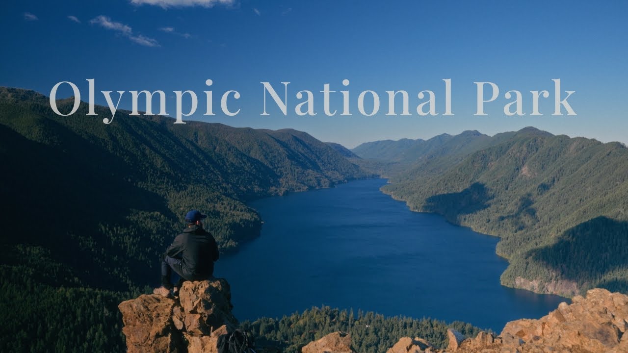 Escaping the Noise: A Cinematic Journey into the Silence of Olympic