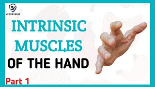Muscles of the hand | Origin , Insertion and Action | Intrinsic muscles | Part 1