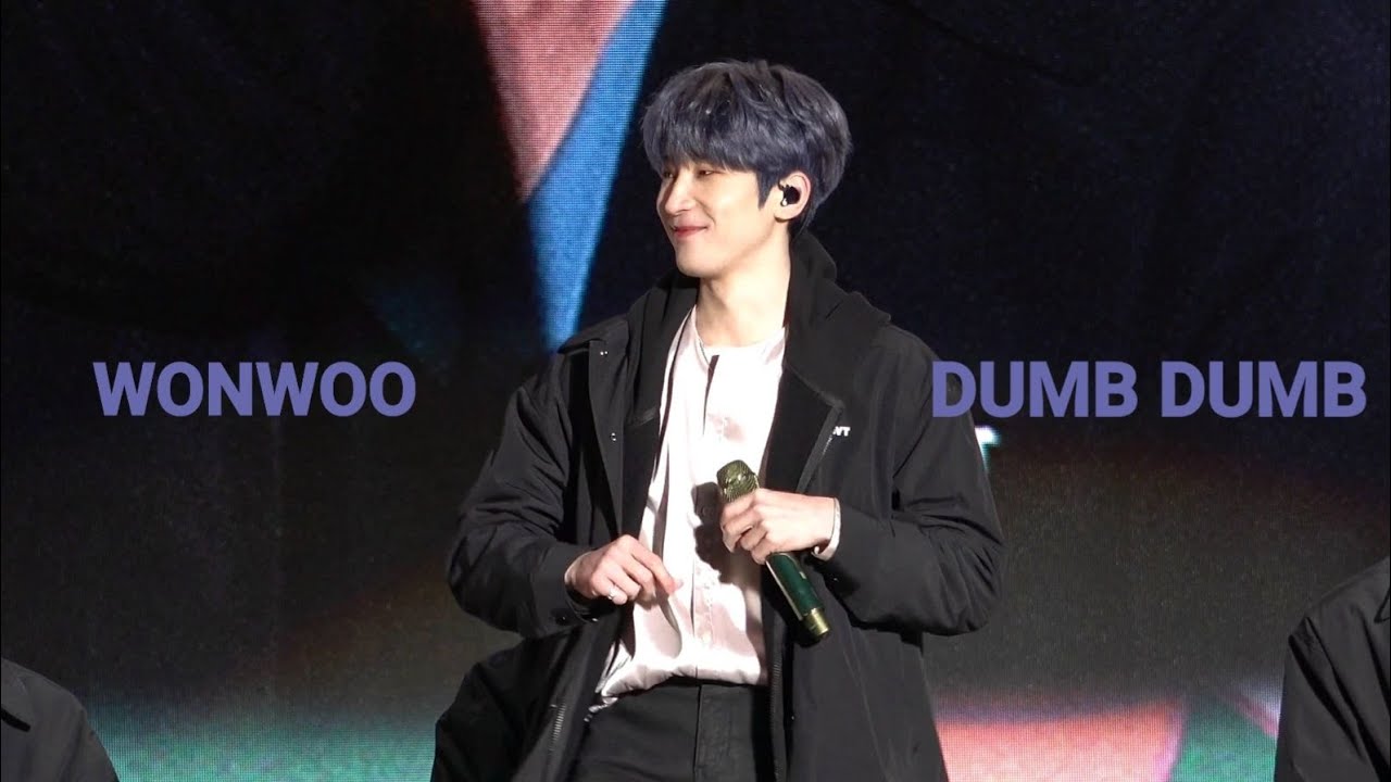 220327 CARAT LAND DAY3 원우 덤덤 WONWOO DUMB DUMB 4K