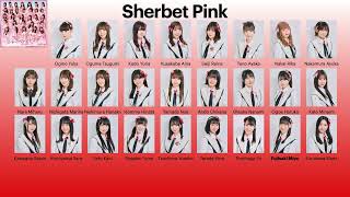 Ngt48 Senbatsu Member History