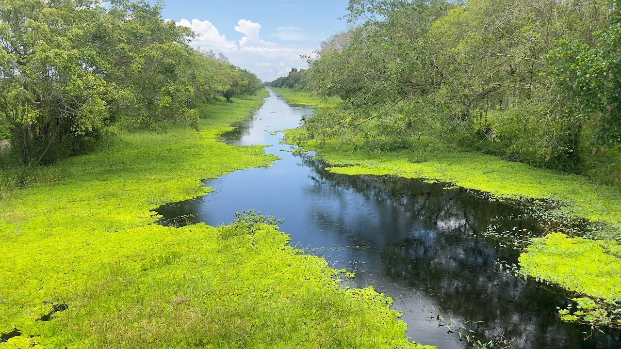 Khu Du Lịch sinh thái rừng U MINH THƯỢNG