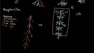 148, TSTree2