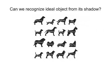 Official opening of Dioscuri Centre in Topological Data Analysis