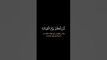 سورة الزمر ماهر المعيقلي TikTok Holy Quran 