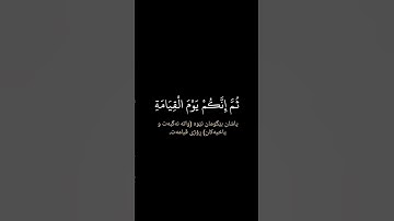 { سورة الزمر | ماهر المعيقلي } | TikTok holy_..quran