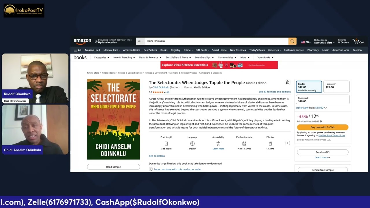 Honest judges are often punished in Nigeria - Prof. Chidi Odinkalu