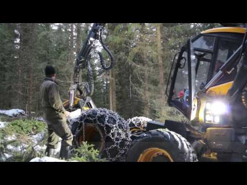 Video: Vuorituhkan Ja Hedelmien Korjuun Edut