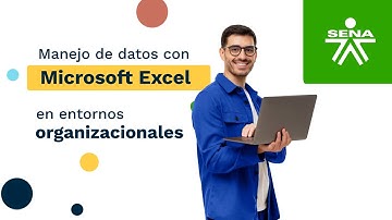 Manejo de datos con Microsoft Excel en entornos organizacionales