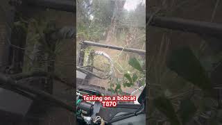 Testing a bobcat T870 with a 180 D Dennis cimaf Forestry Mulcher #beblessed #satisfying #trees