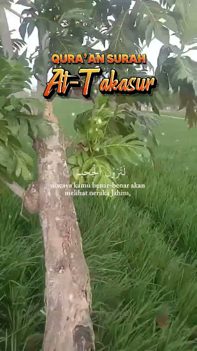 Surah At-Takasur#fyp #shortvideo #trending #vlog #viral #shorts