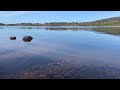 Calm Lake in Ireland with Birds 🐦 | Real Nature Sounds (No Music)