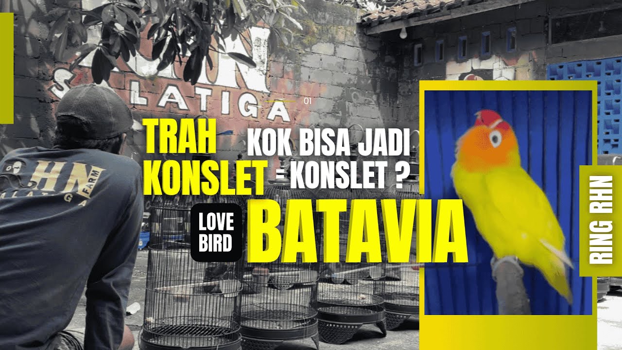 DARI INDUKAN KONSLET ANAKKANYA JADI KONSLET !?