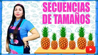 Aprendiendo las Secuencias de tamaños - INICIAL