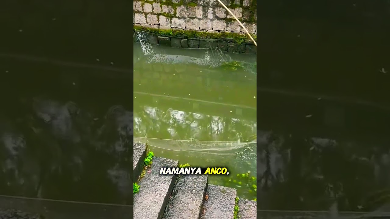 Rahasia Anco Kampungku Terungkap! 