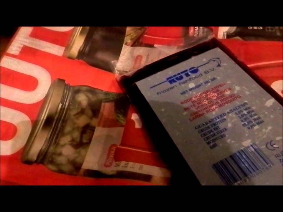 reptiles concept Random fire belly newt update