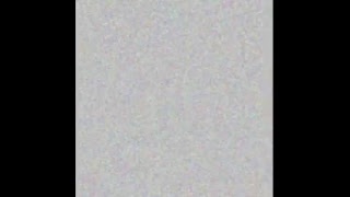 Steko and Corey Live Stream