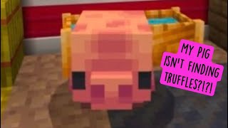 My Pig Isn’t Finding Truffles — Hello Kitty Minecraft DLC
