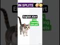 cat laughing uncontrollably !!! ?????/ interesting vocabulary #shortsfeed #Laugh #english