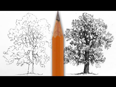 Wideo: Jak Narysować Drzewo Sakura