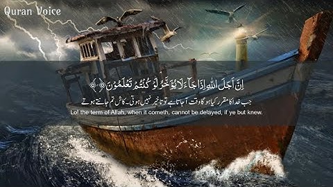 سورة نوح للقارئ مشاري العفاسي - Surah Nooh - Mishary Alafasy
