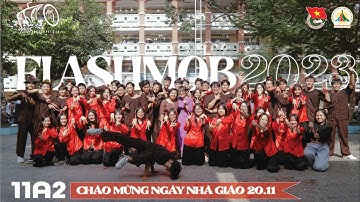11A2 - HỘI THI FLASHMOB CHÀO MỪNG 20/11 NĂM HỌC 2023 - 2024