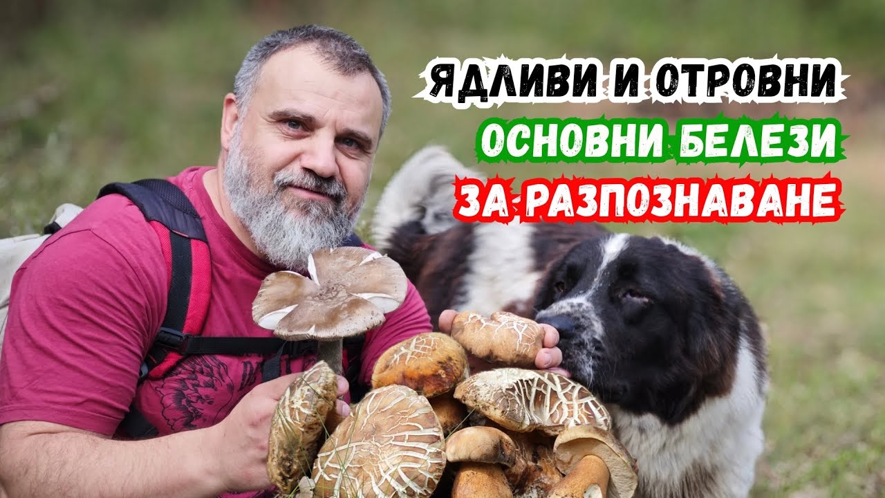 #Ядливи и #отровни!!! Ето #как можем да ги разпознаваме.
