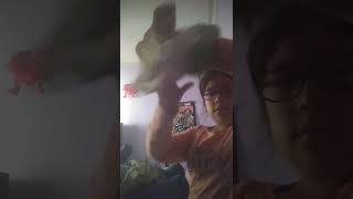 Rutina De La Tarde 2 En Mi C