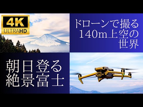 合同会社チェストスタジオ