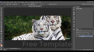 How To Remove Wow Slider 8.8 Watermark