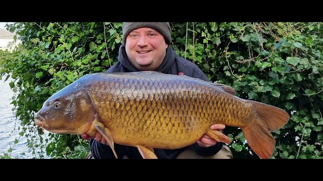 Eclipse Baits - Cherry Virus