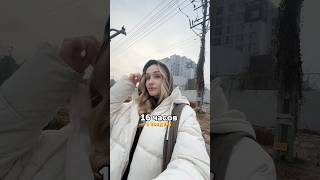 перелет 16 часов 🆘 / тгк поляполя #мгу #вшэ #москва #егэ