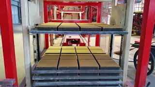 QGM T9 Automatic Paving Block Production Line in China
