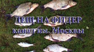 Рыбалка на фидер, ловля леща.  Канал им. Москвы.