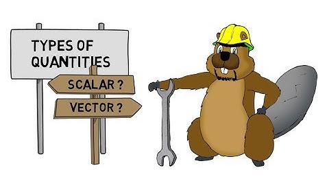 Types of Physical Quantities (Scalars and Vectors)