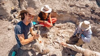 DIGGING UP DINOSAUR BONES! (Childhood Dream)