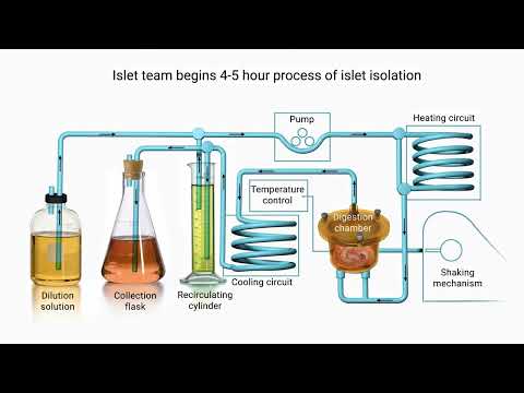 How it Works