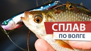 Рыбалка на попперы. Сплав по Волге. Fishtoday #28(Второй день моего одиночного сплава по Волге и увлекательной рыбалки. Ловля на попперы красноперки, щуки..., 2016-01-29T16:40:33.000Z)