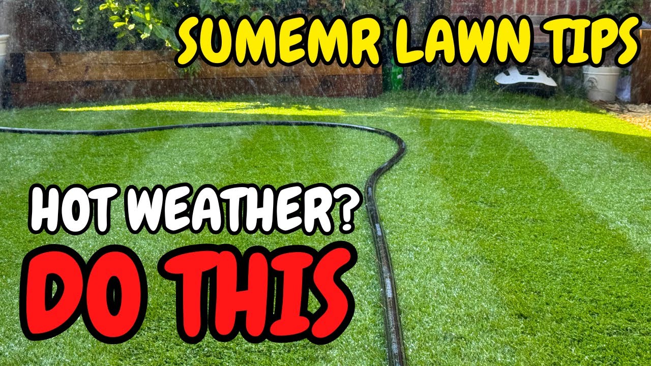 Beat the HEAT - Essential Lawn Care Tips for HOT WEATHER - YouTube