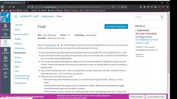 Canvas demo - viewing instructor feedback