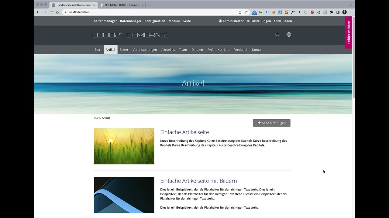 LUCID2 - SEO Meta Tags eingeben und optimieren