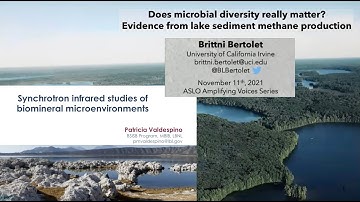 Amplifying Voices Webinar Nov 11 2021