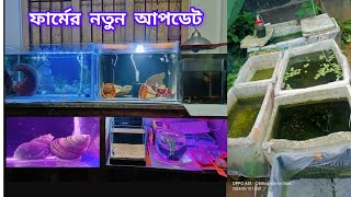 ফার্মের নতুন আপডেট#fishkeeping #aquariumfish #my fish tank update #fishtank