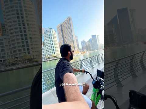 ازاي تركب عجل في دبي كلها ببلاش