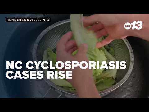 NC cyclosporiasis cases rise