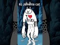 Ranking All Normal Cats In Battle Cats #tbc #battlecats