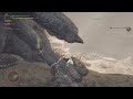 Monster Hunter Wilds Beta_Gypcerus